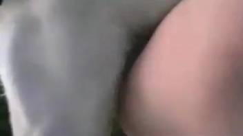 Curvy bestiality lover being pounded deeply and roughly