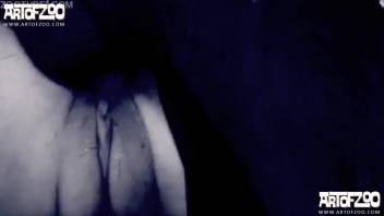 Hot woman with a sexy butt gets pounded in her smooth vagina by a dog in heat