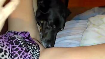 Voluptuous rear animal enthusiast receives digital stimulation prior to oral attention