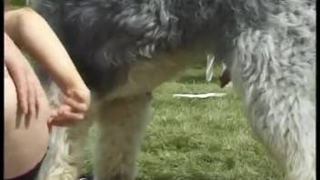 Mature woman coaxes the shaggy dog to thrust into her rear and vagina