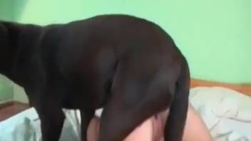 Hot vixen is set to tear that succulent slit apart completely