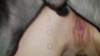 Canine penetrates female in the vagina after she performs oral sex
