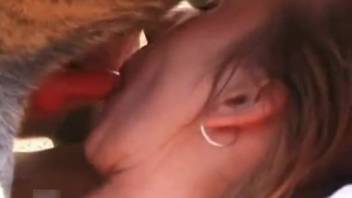 Outdoor threesome bestiality scene, woman handles man and canine dicks