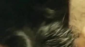 Guy banging a beast's orifice in a twisted flick