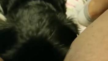 Shaggy dog guides the nude lady to wild animal park climaxes