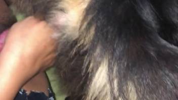 Guy masturbates and savors the dog lapping up his semen