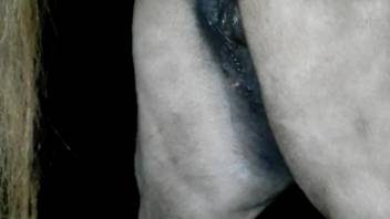 Guy craves to thrust deeply into this horse and release his load inside