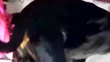 Lustful pup thrusting into a gorgeous girl 18+'s shaved snatch