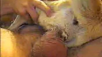 Guy pounds his pooch's snug vaginal opening