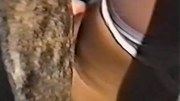 Insanely hot vintage animal sex banging sequence
