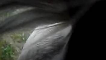 Filly's damp vaginal cavity is fisted in the great outdoors