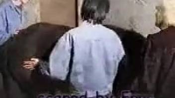 Aroused guy screws a horse and ejaculates on its tail