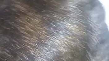 First-person adult film starring an extremely aroused pup
