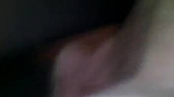 Guy deeply penetrates a horse and records himself in the act