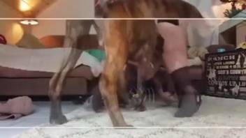 Sexy chick in black stockings getting slammed on hands and knees