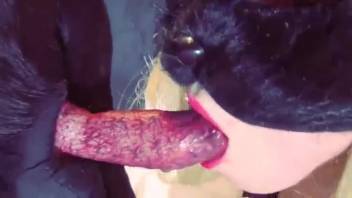 Fair-haired woman sucking penis and acting dirty with an attractive canine