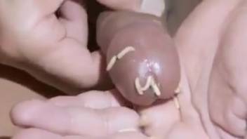 Guy jacks off with worms inside his cock for extra satisfaction