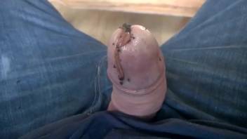 Guy masturbates as worms crawl into his dick