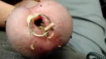 Aroused guy shoves live worms into his cock for greater enjoyment
