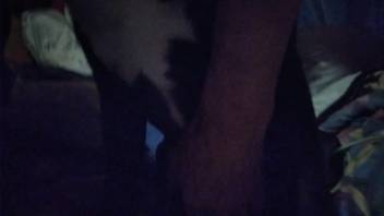 Guy is set to throat-fuck his obedient pet
