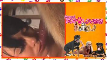 Fantastic adult film starring alluring ladies