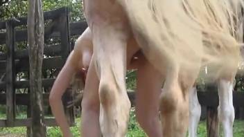 Beast-loving slut being hammered by a massively endowed stallion