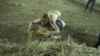 Tied-up Russian bestiality fan is ready to receive a horse's dick