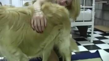 Extremely bizarre adult film featuring intense bestiality encounters