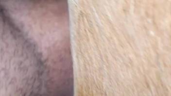 Fantastic animal sex clip featuring an attractive penis