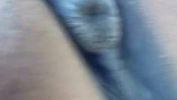 Female horse's vagina dripping semen and mucus in front of the camera