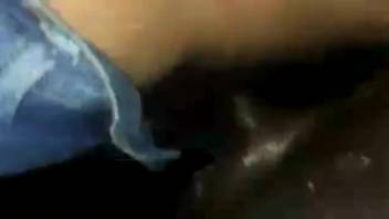 Aroused guy intensely penetrates beast's rear and vagina live on webcam