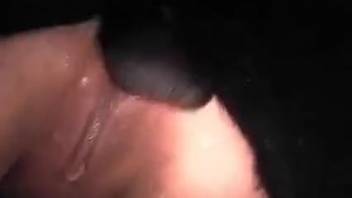 Cum-filled bestiality lover's cunt appears incredibly appetizing