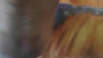 Beast devouring that guy's butthole in a twisted anilingus clip