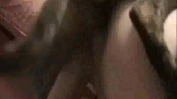 Nude lady arches her rear for the canine to screw her without mercy