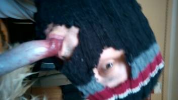 Guy in a hot mask adores a beast's cock