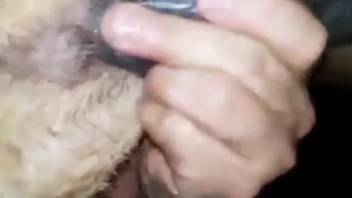 Chaotic and mildly insane bestiality sex scene
