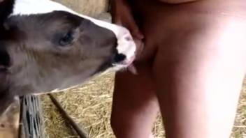 Chubby guy has his cock blown by a freaky heifer