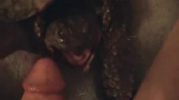 Guy receives an awesome oral sex from a turtle in point-of-view style