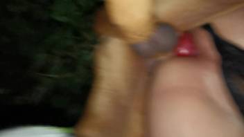 Anal sex video starring a lustful bestiality enthusiast