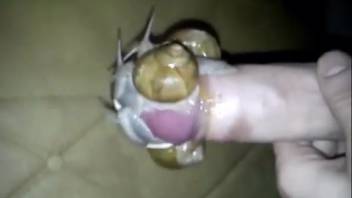 Guy places snails on his hard penis while masturbating