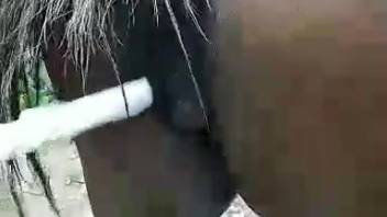 Steamy wild cunt being explored on camera