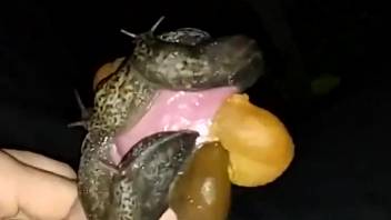 Alluring mollusks swarm this stunning shaft in high definition.