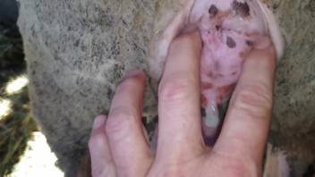 Dripping wet vagina pounded by a well-endowed guy in high definition
