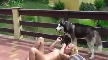 Nude woman allows canine to smell and lap at her vagina