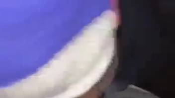 Beginner performs fellatio on canine penis in intimate webcam footage