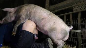 Hot babe plays the role of a pig and bangs a guy's narrow rear entrance right here