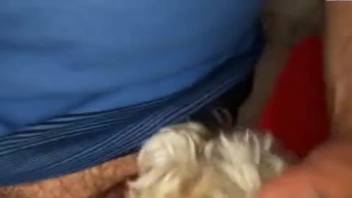 Intimate penetration scene featuring a heavily hirsute animal enthusiast man