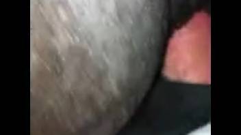 Guy thrusting his massive dick into the beast's orifice