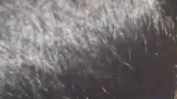 Guy ravaging a wild vixen's steamy slit with his dick right here