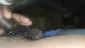 Bushy dick guy pounding a beast's inviting orifice